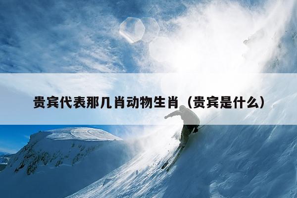 贵宾代表那几肖动物生肖（贵宾是什么）