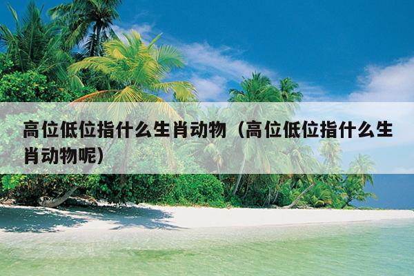 高位低位指什么生肖动物（高位低位指什么生肖动物呢）