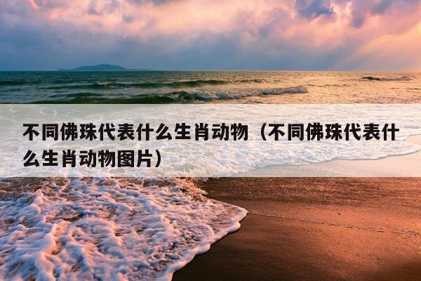 不同佛珠代表什么生肖动物（不同佛珠代表什么生肖动物图片）