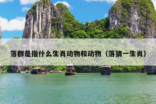 落群是指什么生肖动物和动物（落猜一生肖）