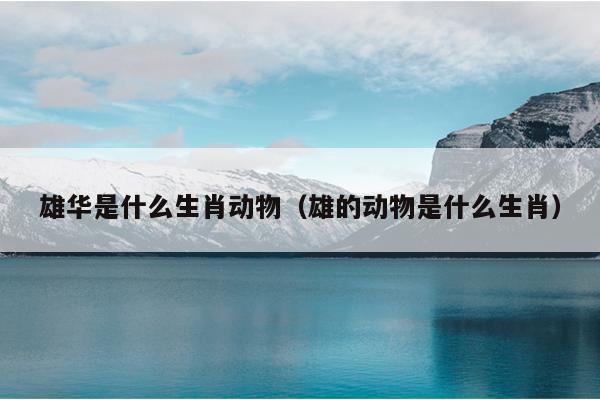 雄华是什么生肖动物（雄的动物是什么生肖）