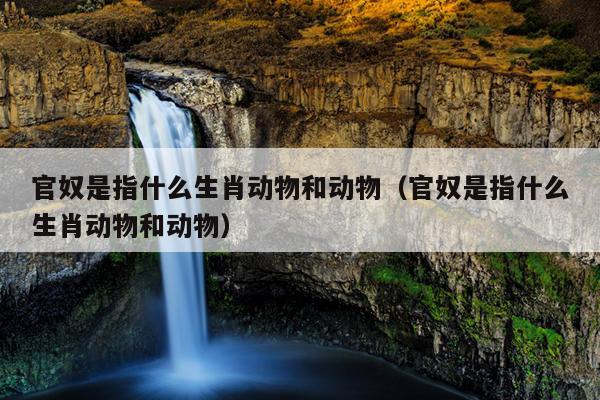 官奴是指什么生肖动物和动物（官奴是指什么生肖动物和动物）