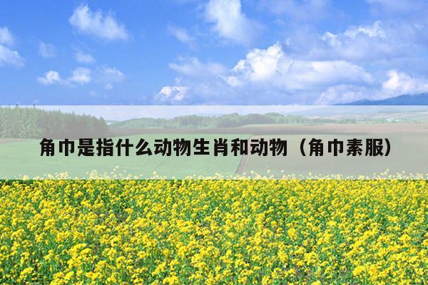 角巾是指什么动物生肖和动物（角巾素服）
