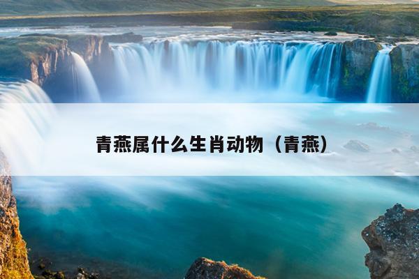 青燕属什么生肖动物（青燕）