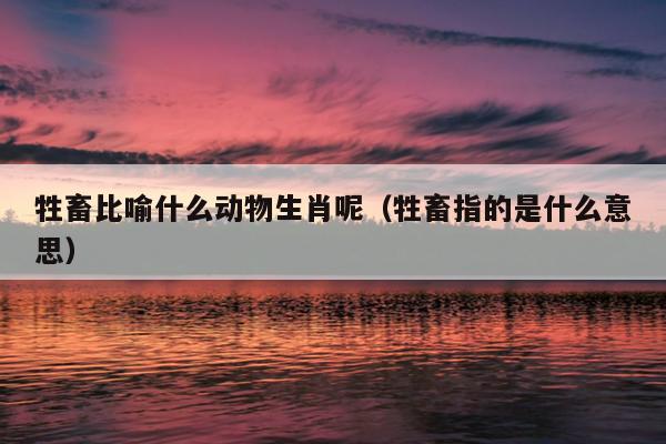 牲畜比喻什么动物生肖呢（牲畜指的是什么意思）