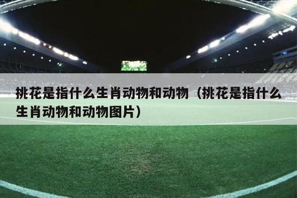 挑花是指什么生肖动物和动物（挑花是指什么生肖动物和动物图片）
