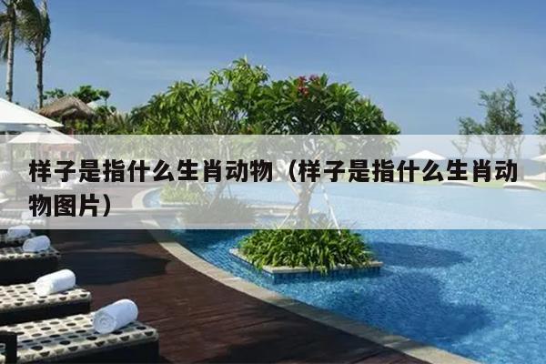样子是指什么生肖动物（样子是指什么生肖动物图片）