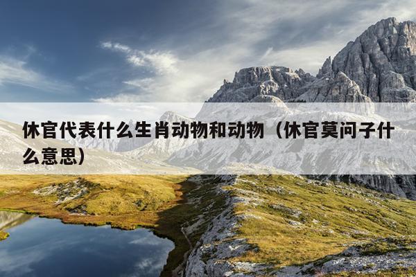 休官代表什么生肖动物和动物（休官莫问子什么意思）