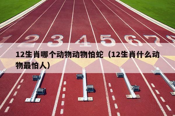 12生肖哪个动物动物怕蛇（12生肖什么动物最怕人）