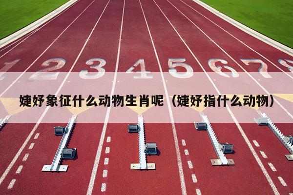 婕妤象征什么动物生肖呢（婕妤指什么动物）