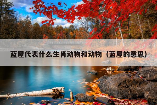 蓝屋代表什么生肖动物和动物（蓝屋的意思）