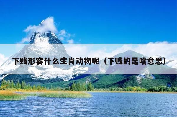 下贱形容什么生肖动物呢（下贱的是啥意思）