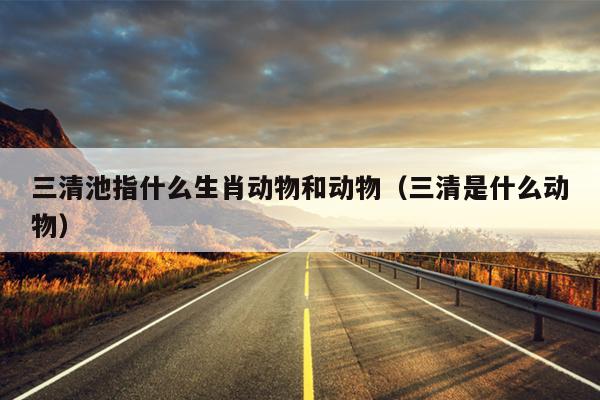 三清池指什么生肖动物和动物（三清是什么动物）