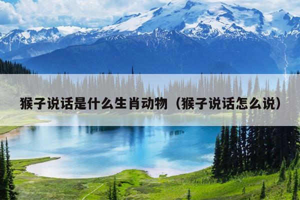 猴子说话是什么生肖动物（猴子说话怎么说）