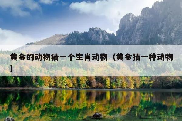 黄金的动物猜一个生肖动物（黄金猜一种动物）