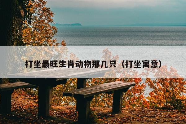 打坐最旺生肖动物那几只（打坐寓意）