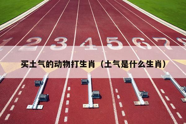 买土气的动物打生肖（土气是什么生肖）