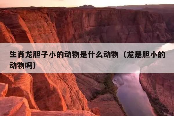 生肖龙胆子小的动物是什么动物（龙是胆小的动物吗）