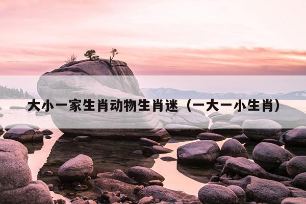 大小一家生肖动物生肖迷（一大一小生肖）
