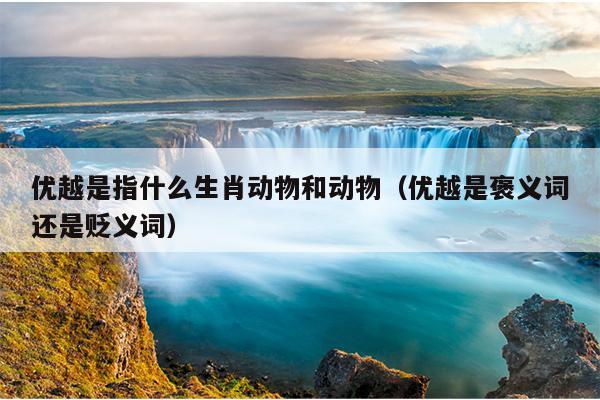 优越是指什么生肖动物和动物（优越是褒义词还是贬义词）