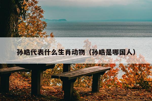孙皓代表什么生肖动物（孙皓是哪国人）