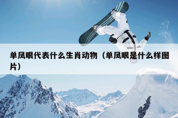 单凤眼代表什么生肖动物（单凤眼是什么样图片）