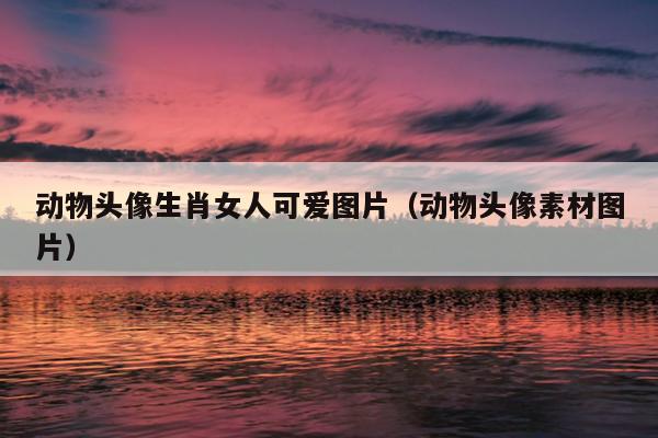 动物头像生肖女人可爱图片（动物头像素材图片）