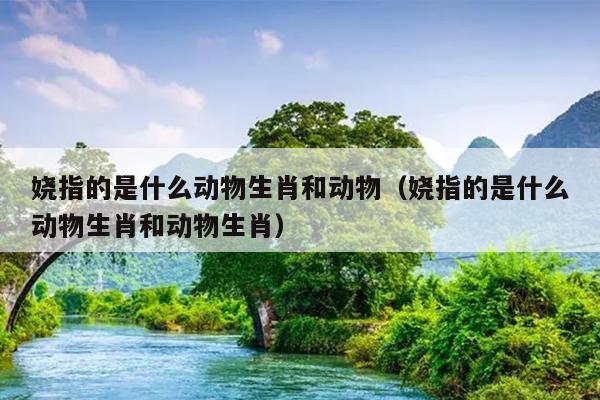 娆指的是什么动物生肖和动物（娆指的是什么动物生肖和动物生肖）