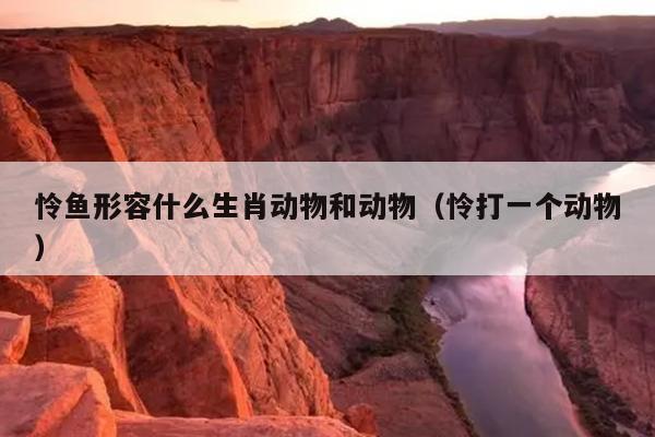 怜鱼形容什么生肖动物和动物（怜打一个动物）