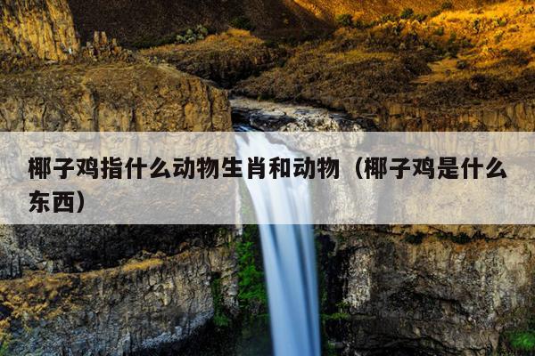 椰子鸡指什么动物生肖和动物（椰子鸡是什么东西）