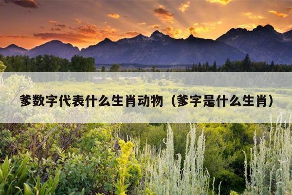爹数字代表什么生肖动物（爹字是什么生肖）