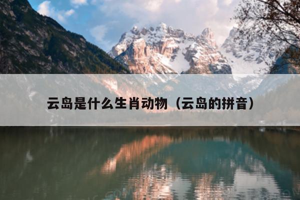 云岛是什么生肖动物（云岛的拼音）