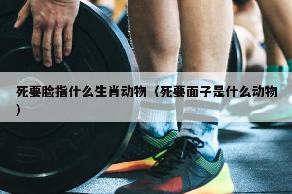 死要脸指什么生肖动物（死要面子是什么动物）