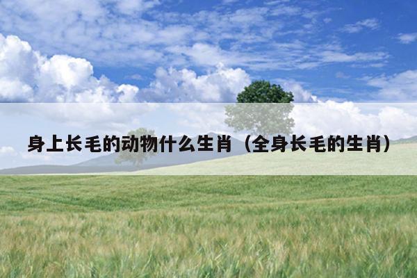身上长毛的动物什么生肖（全身长毛的生肖）