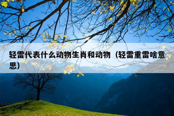 轻雷代表什么动物生肖和动物（轻雷重雷啥意思）