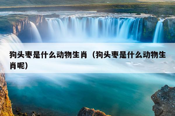 狗头枣是什么动物生肖（狗头枣是什么动物生肖呢）