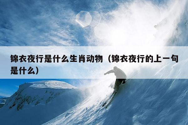 锦衣夜行是什么生肖动物（锦衣夜行的上一句是什么）