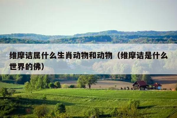 维摩诘属什么生肖动物和动物（维摩诘是什么世界的佛）