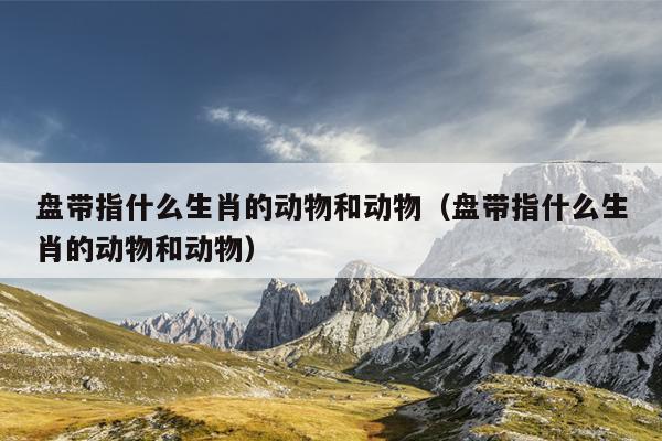 盘带指什么生肖的动物和动物（盘带指什么生肖的动物和动物）