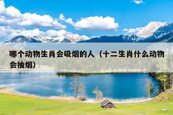 哪个动物生肖会吸烟的人（十二生肖什么动物会抽烟）