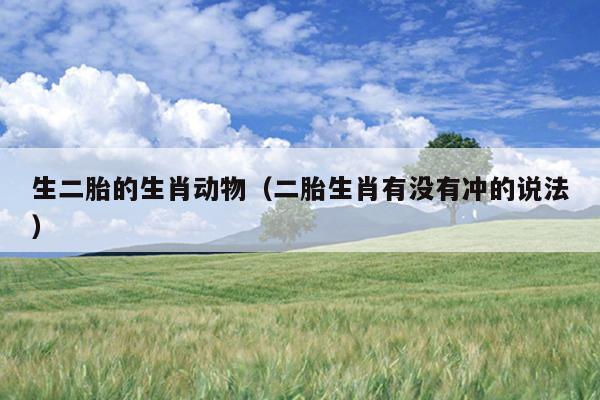 生二胎的生肖动物（二胎生肖有没有冲的说法）
