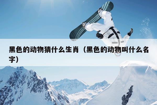 黑色的动物猜什么生肖（黑色的动物叫什么名字）