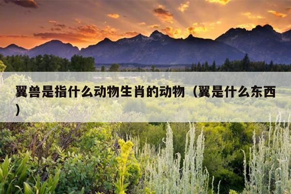 翼兽是指什么动物生肖的动物（翼是什么东西）