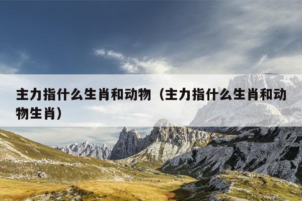 主力指什么生肖和动物（主力指什么生肖和动物生肖）