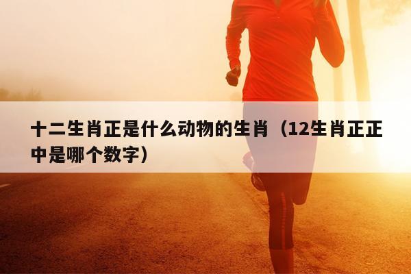 十二生肖正是什么动物的生肖（12生肖正正中是哪个数字）