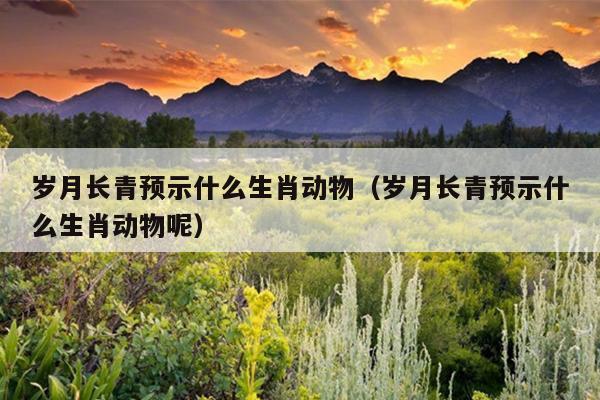 岁月长青预示什么生肖动物（岁月长青预示什么生肖动物呢）
