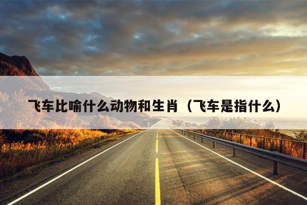 飞车比喻什么动物和生肖（飞车是指什么）