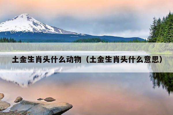 土金生肖头什么动物（土金生肖头什么意思）