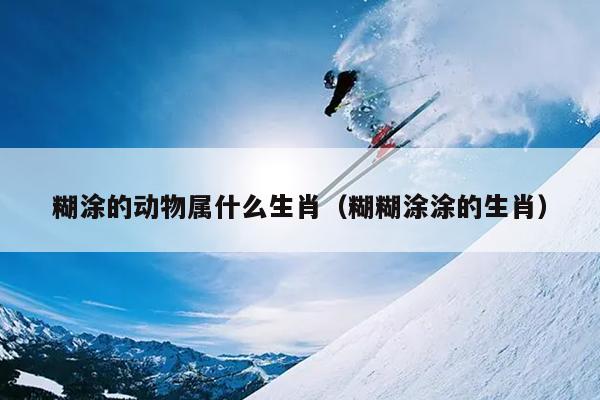 糊涂的动物属什么生肖（糊糊涂涂的生肖）