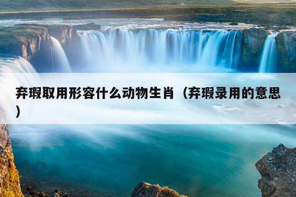 弃瑕取用形容什么动物生肖（弃瑕录用的意思）